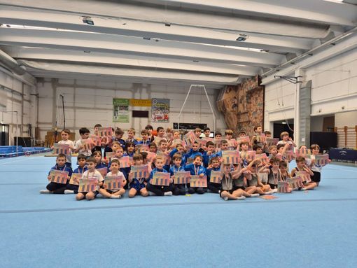 Ginnastica: bene i giovani atleti della Costanza Mortara nel campionato allievi gold al palaMassucchi