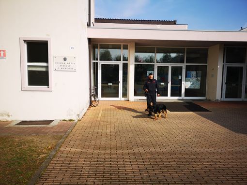 Gambolò: "operazione scuole sicure", tutto ok all'istituto "Robecchi" Gambolò: "operazione scuole sicure", tutto ok all'istituto "Robecchi"