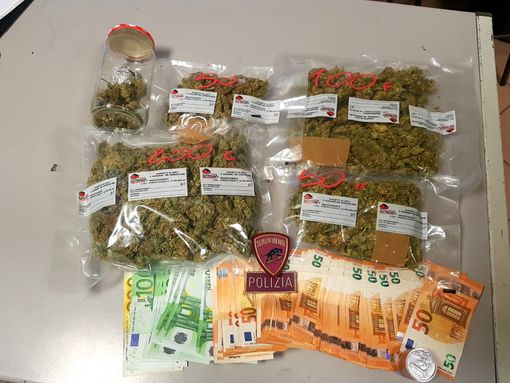 Pavia: trovato in possesso di circa mezzo chilo di marijuana, in manette uno studente 25enne