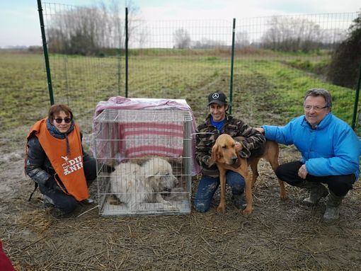 Dorno: tornano in azione i volontari di &quot;Facciamo Dorno pulita&quot;