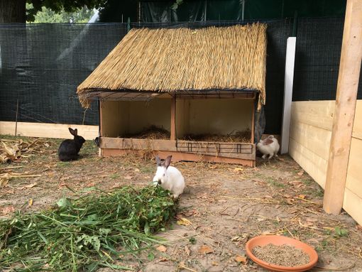 Per la Festa dei Nonni il prossimo 3 e 4 Ottobre appuntamento al Villaggio delle Zucche di San Martino Siccomario