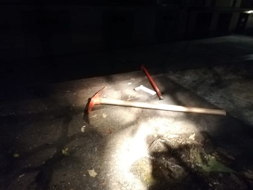 Pavia: spaccata in un bar di via Olevano, arrestato un 22enne Pavia: spaccata in un bar di via Olevano, arrestato un 22enne