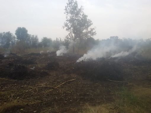 Corbetta: terreno agricolo in fiamme nella notte, è un incendio doloso
