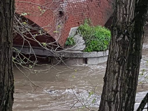 - (FOTO e VIDEO) - La situazione attuale di Po e Agogna tra Lomello e Pieve del Cairo