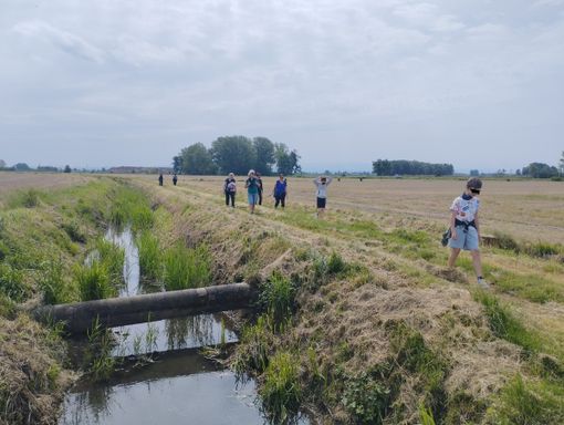 Passeggiata da Suardi all'abbazia di Acqualunga, le immagini Passeggiata da Suardi all'abbazia di Acqualunga, le immagini