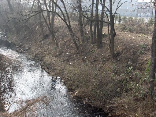 foto generica di repertorio