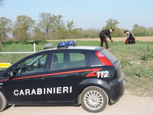 Pavese: spaccio di droga nelle campagne, in manette un 21enne Pavese: spaccio di droga nelle campagne, in manette un 21enne