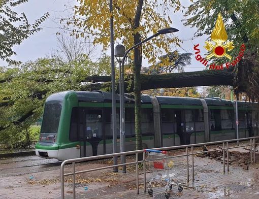 Maltempo anche a Milano: pianta crolla su un tram
