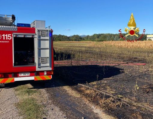 In fiamme un campo di grano lungo la A9: il fumo invade l'autostrada e rallenta il traffico In fiamme un campo di grano lungo la A9: il fumo invade l'autostrada e rallenta il traffico