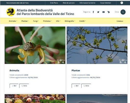 Parco del Ticino, ecco il primo portale (italiano) sulla biodiversità Parco del Ticino, ecco il primo portale (italiano) sulla biodiversità