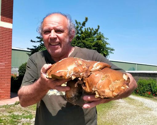 Dario Lucca mostra con orgoglio il porcino da record