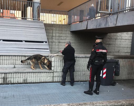 Pavia: denunciato un 18enne e segnalati altri otto giovani consumatori di stupefacenti, durante un controllo dei carabinieri in alcune scuole superiori cittadine