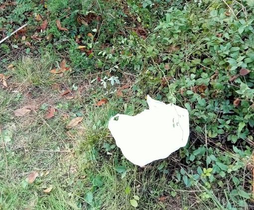 (foto da ilSaronno: il sacchetto in cui sono stati abbandonati i cagnolini nel parco)