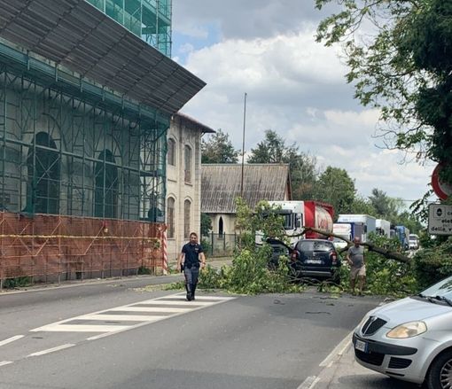 Magenta: vento abbatte le piante lungo la statale di Pontenuovo che finiscono su un’auto in transito Magenta: vento abbatte le piante lungo la statale di Pontenuovo che finiscono su un’auto in transito