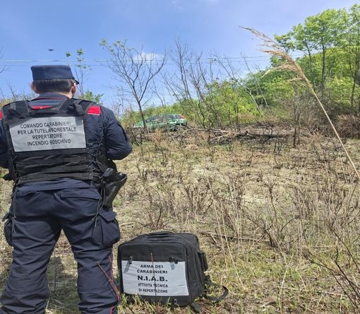 Oltrepò, incendio divora 1.500 metri quadrati di bosco: denunciato un 64enne
