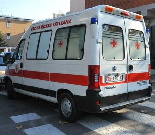 Rosasco: Muore nel bosco schiacciato da un ramo di pioppo Rosasco: Muore nel bosco schiacciato da un ramo di pioppo