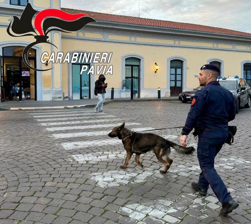 Controlli a tappeto dei Carabinieri nel centro cittadino di Pavia. Sanzionato anche un esercizio commerciale