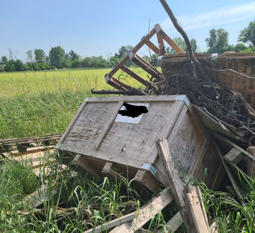 Rifiuti: abbandono nelle campagne di Castellazzo, identificato il responsabile