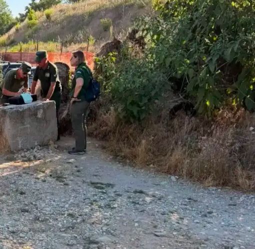 Vigevano: controlli a tappeto di Parco e Comune sulle rive del Ticino in località Sayonara Vigevano: controlli a tappeto di Parco e Comune sulle rive del Ticino in località Sayonara
