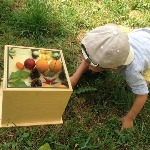 Orti botanici della Lombardia: aule educative all’aperto
