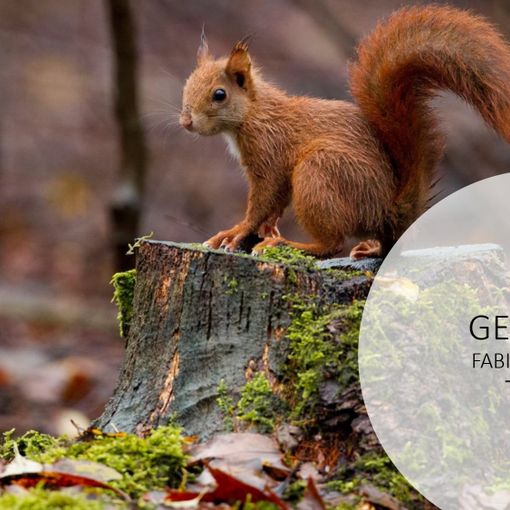 57 fotografi, 18 classi: è un successo il concorso fotografico indetto dal parco del Ticino