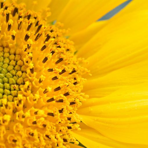Reiki e benessere: esplorazione dei benefici dell'attivazione energetica