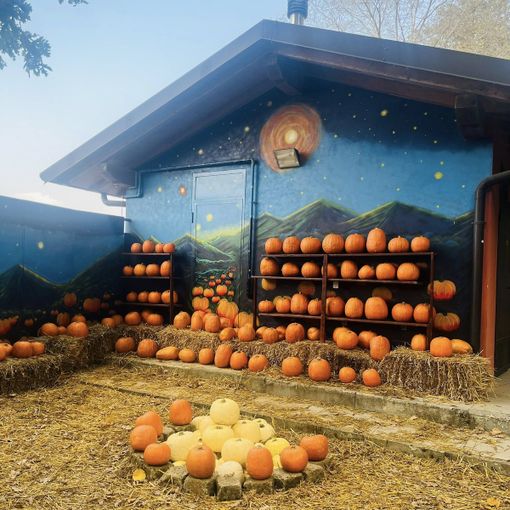 Conto alla rovescia per la festa più creepy dell’anno…intanto al villaggio delle zucche di San Martino Siccomario si celebrano i profumi d’autunno