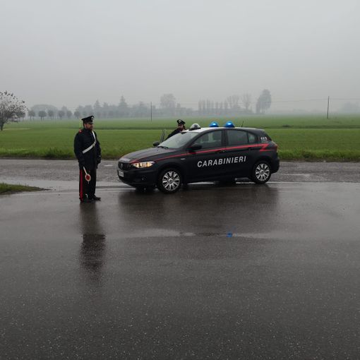 Sgominata una gang responsabile di numerosi furti e rapine in Lomellina