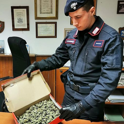 Casorate Primo: trovato in auto con 3 etti di marijuana, denunciato un 23enne