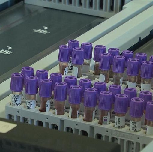 Covid, bloccata in Italia la terapia con l'idrossiclorochina