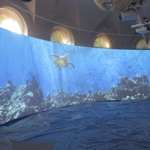 Pavia presenta a Palazzo Botta Adorno: Kosmos, un nuovo Museo di Storia Naturale