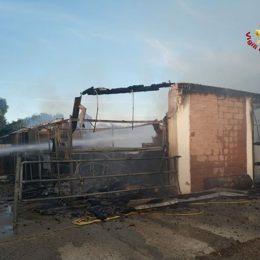 Pavese: incendio in un maneggio a Sant'Alessio con Vialone, trovati deceduti 11 cavalli