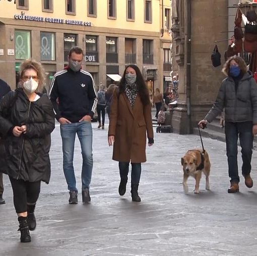 Covid, &quot;mascherine e distanza abbassano di mille volte la carica virale&quot;