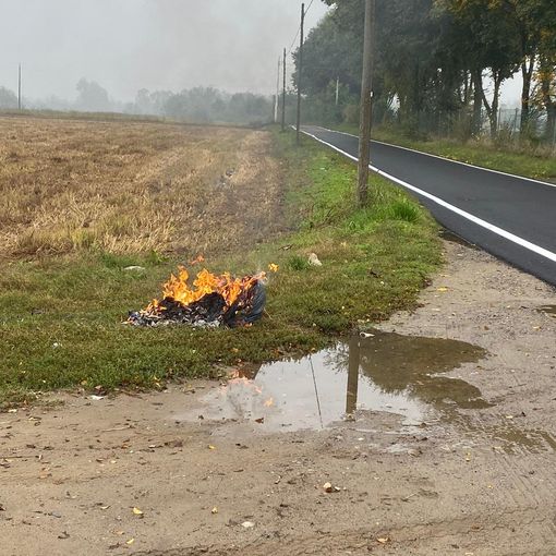 Gambolò, primi segnali positivi per combattere gli abbandoni. Sanzionato un responsabile