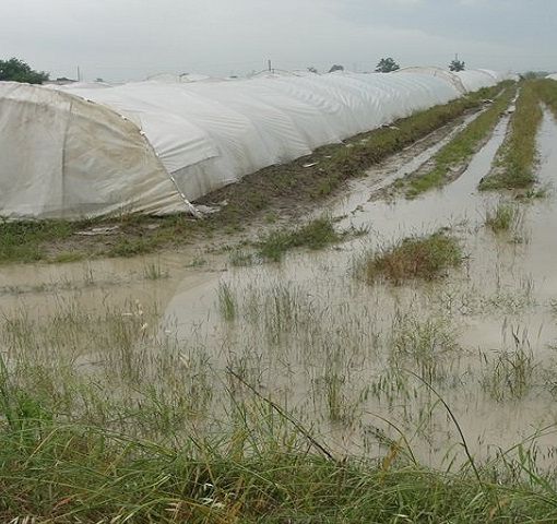 Clima: Coldiretti, 14 mld di danni all’agricoltura in ultimo decennio