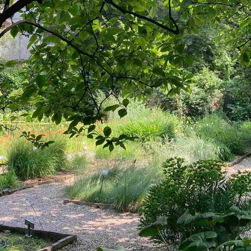 Dal 18 al 26 giugno, la rete degli orti botanici della Lombardia festeggia il solstizio d’estate