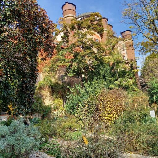 Ultimi giorni per visitare gli orti botanici lombardi prima della pausa invernale. Le attività didattiche non si fermeranno