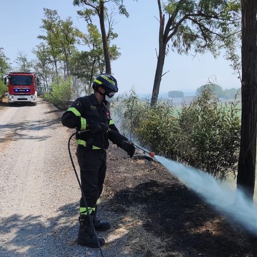 Pieve Albignola: incendio di sterpaglie sul cavalcavia dell'autostrada