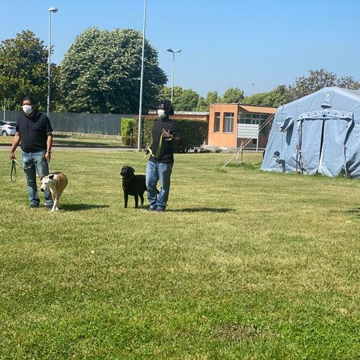 Progetto &quot;Qua la zampa&quot;, a Pavia i cani entrano in carcere per aiutare i detenuti nel percorso riabilitativo