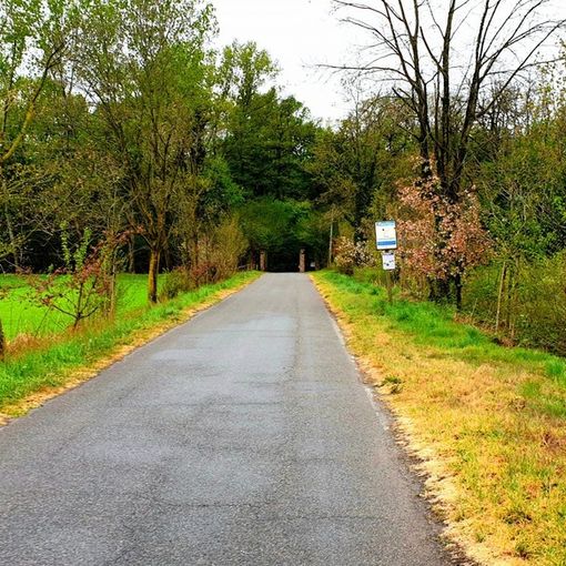 Magenta: smarriti nei boschi del Parco del Ticino