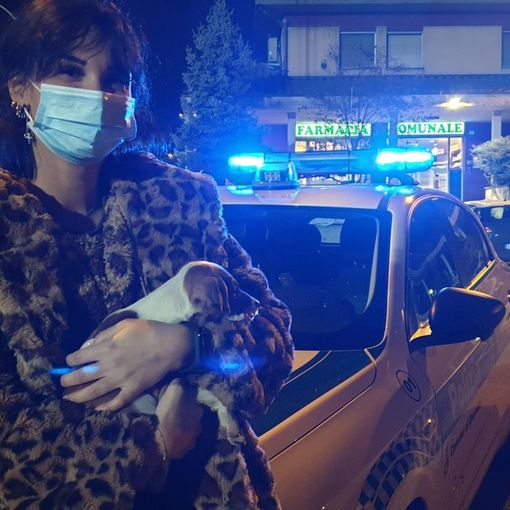 Magenta: abbandonato in mezzo ai rovi, cucciolo di cane messo in salvo. Il racconto di Serena (VIDEO)