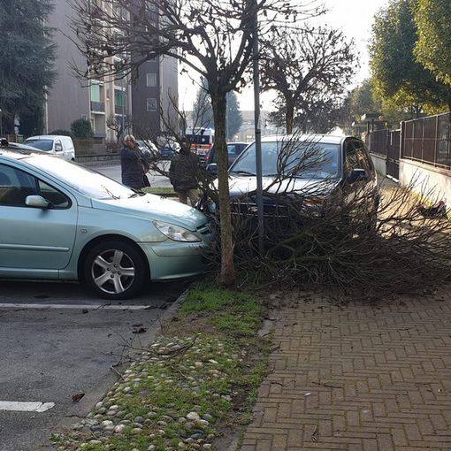 Corbetta: colto da malore alla guida si schianta contro un albero, due cittadini gli praticano il massaggio cardiaco