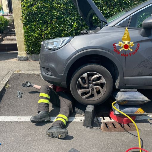 Gatto incastrato nel motore dell’auto a Cisliano salvato dai Vigili del Fuoco