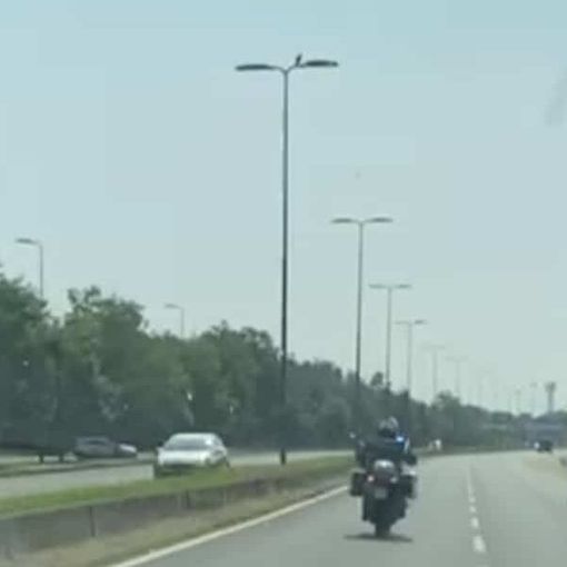 Da Robecco sul Naviglio a Genova con un rene: vita salvata a un ragazzo grazie al trasporto organi della Polizia locale