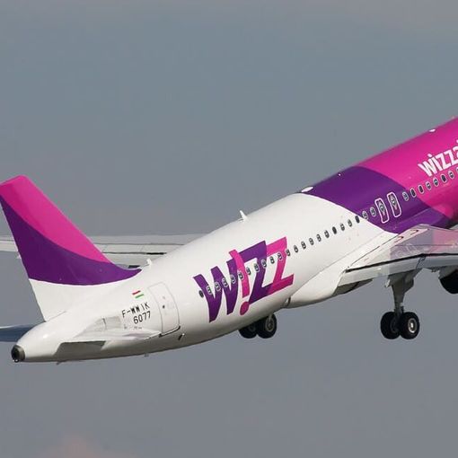 Coppia di Novara si sposa su Wizz Air