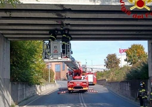 Iniziati i lavori di sistemazione del ponte di via Porzio Giovanola a Novara