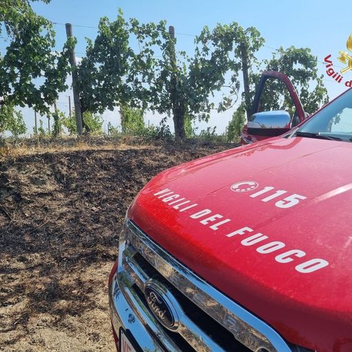 Montescano: incendio di sterpaglie, danneggiato parzialmente un vigneto