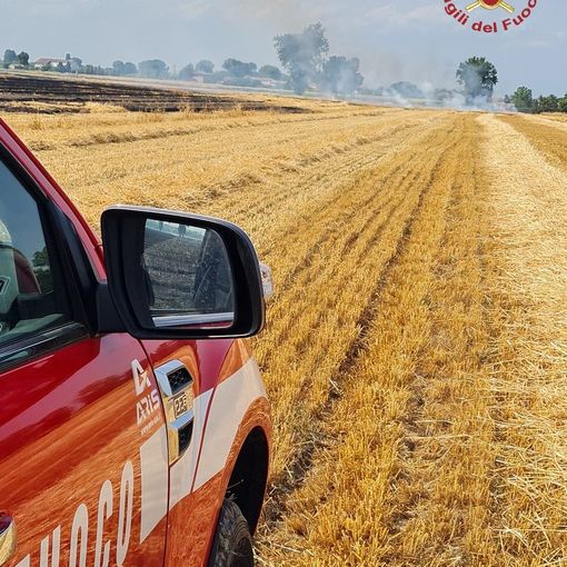 Pinarolo Po: incendio in un campo di grano trebbiato e sterpaglie. Vigili del fuoco in azione per domare le fiamme