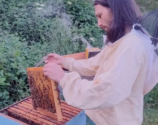 Palestro, apiario spazzato via dalla piena del Sesia. Apicoltore lancia raccolta fondi per ripartire