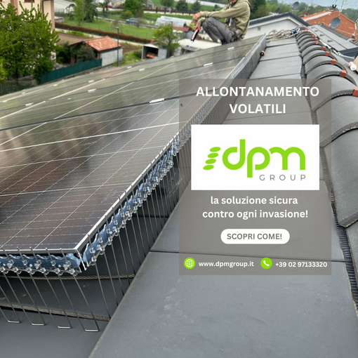 Allontanamento volatili: perché è importante intervenire in modo professionale. E come proteggere anche i pannelli solari